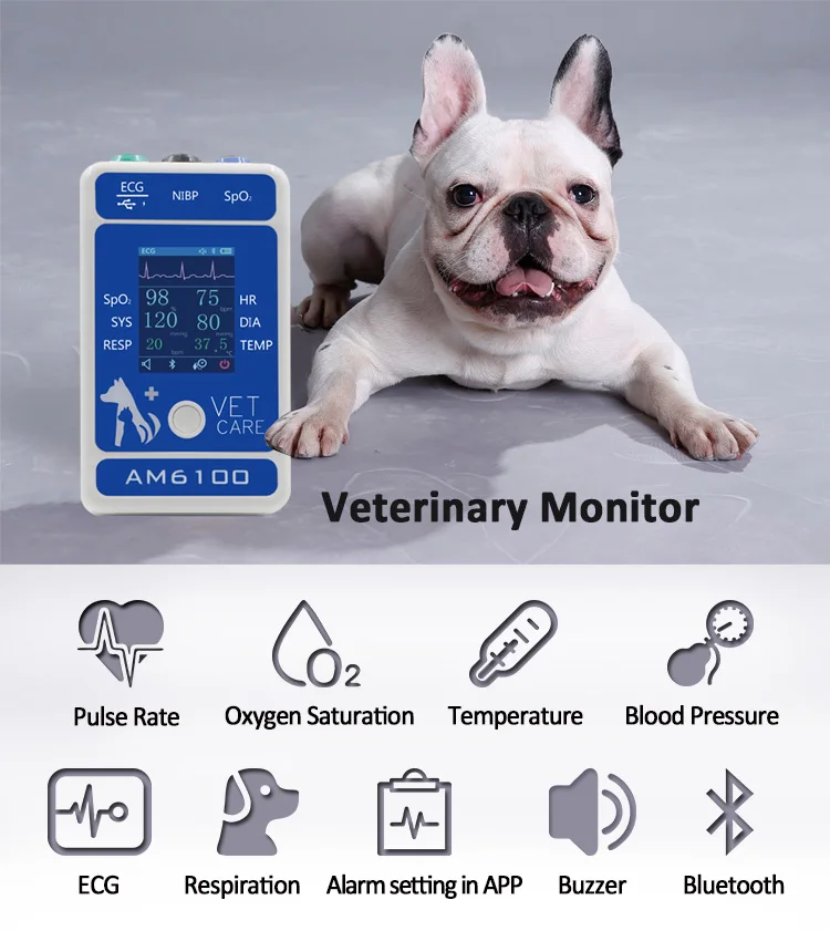 

AM6100 Veterinary Monitor Easy-to-carry Handle Multiple Vital Signs:PR, HR, NIBP(Blood Pressure), Spo2, Resp(Respration), TEMP