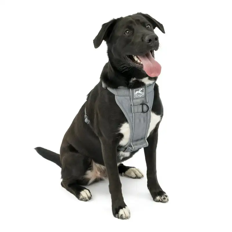 

Smart Harness - QR, Grey, L