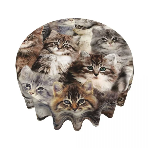 Round Tablecloth 60 Inch White Brown Cat Table Cover For Dinner Kitchen mantel individual para mesa круглая скатерть
Round Tablecloth 60 Inch White Brown Cat Table Cover For Dinner Kitchen mantel individual para mesa круглая скатерть