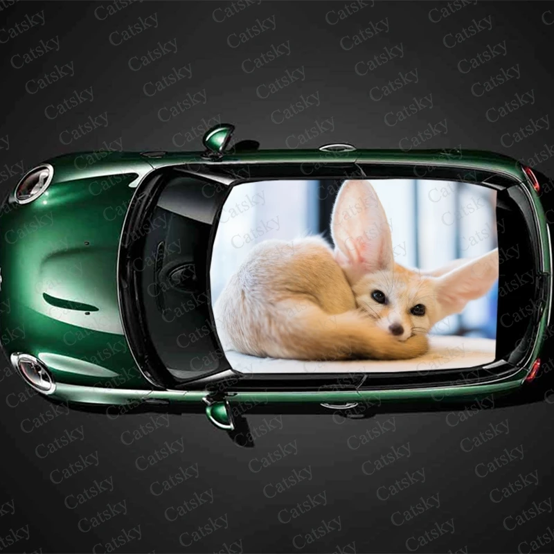 Fennec, декоративные наклейки на крышу, солнцезащитную крышу, виниловая пленка, модифицированные обезболивающие наклейки на автомобиль, грузовик, наклейки
Fennec, декоративные наклейки на крышу, солнцезащитную крышу, виниловая пленка, модифицированные обезболивающие наклейки на автомобиль, грузовик, наклейки