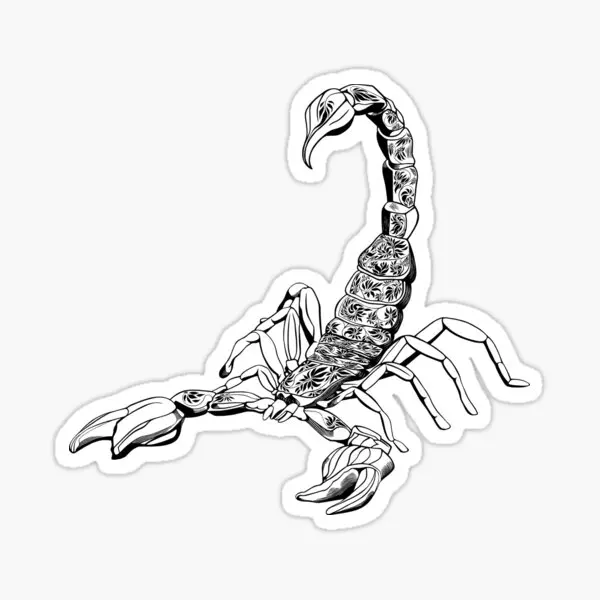 Черный скорпион, 5 шт., автомобильные наклейки для окна, бутылки для воды, мотоцикла, гостиной, багажа, ноутбука, детские украшения, милые автомобильные стены
Черный скорпион, 5 шт., автомобильные наклейки для окна, бутылки для воды, мотоцикла, гостиной, багажа, ноутбука, детские украшения, милые автомобильные стены