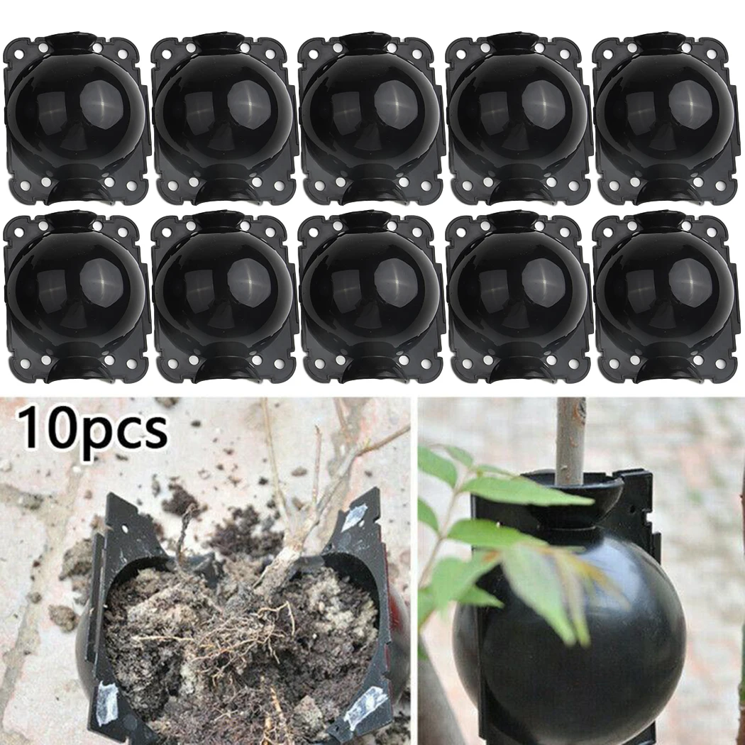 10 Pcs Plant Rooting Equipment High Pressure Propagation Ball 5cm Graft Box Breeding Ball Reusable Plant Root Growing Boxes
10 Pcs Plant Rooting Equipment High Pressure Propagation Ball 5cm Graft Box Breeding Ball Reusable Plant Root Growing Boxes
