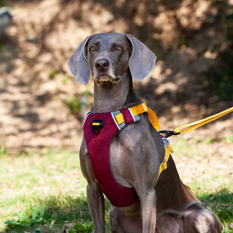 S3cfaba8f37e1449a90fa01330486639az