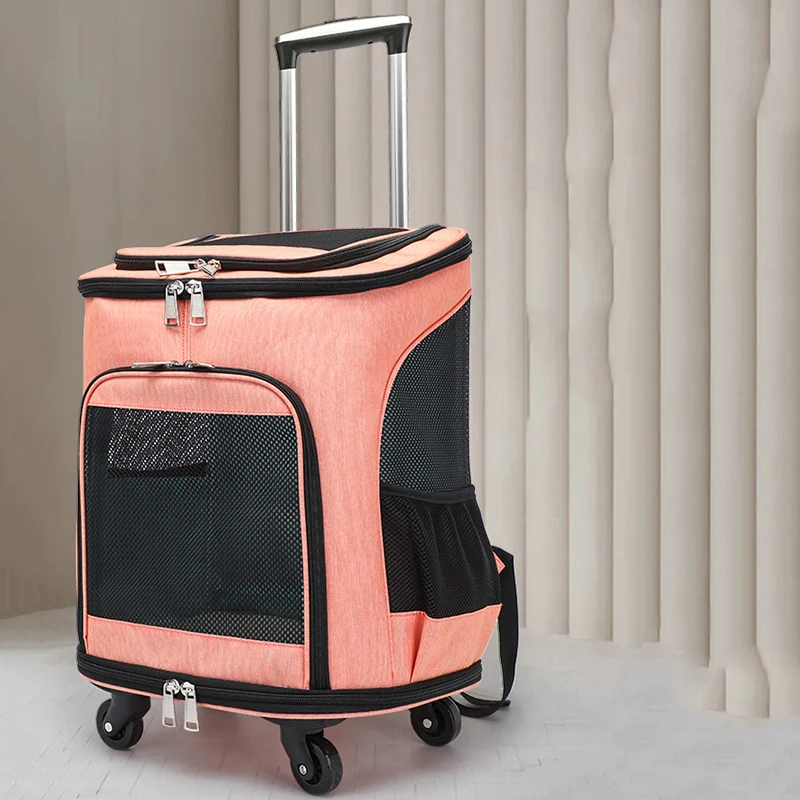 Carry Rabbits Cats Carriers Transportin Animals StrollerCats Carriers Small Clear Crate Mochilas Para Gatos Cat Accessories
Carry Rabbits Cats Carriers Transportin Animals StrollerCats Carriers Small Clear Crate Mochilas Para Gatos Cat Accessories