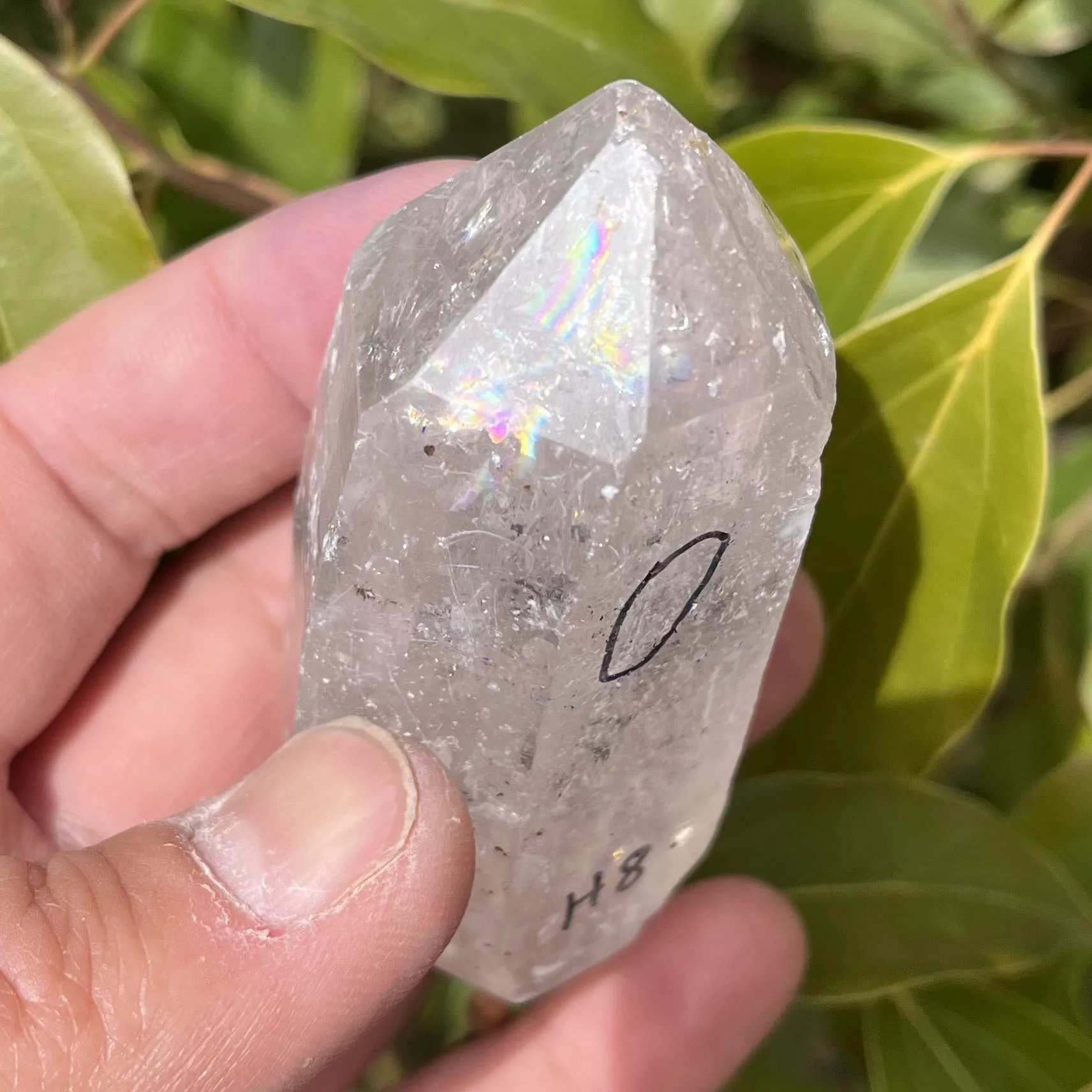 Natural Big Herkimon Shining Diamond Quicksand Waterfall Rainbow Double Pointed White Crystal Backbone Feng Shui Healing Stone
Natural Big Herkimon Shining Diamond Quicksand Waterfall Rainbow Double Pointed White Crystal Backbone Feng Shui Healing Stone