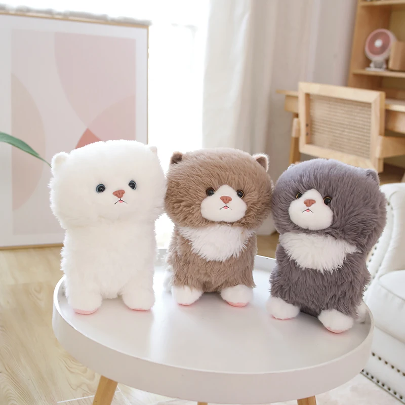 Simulation Ragdoll Cat Plush Toy Cute Stuffed Animals Kittey Plushies Doll Anime Soft Kids Toys for Girls Boys Gifts Home Decor
Simulation Ragdoll Cat Plush Toy Cute Stuffed Animals Kittey Plushies Doll Anime Soft Kids Toys for Girls Boys Gifts Home Decor