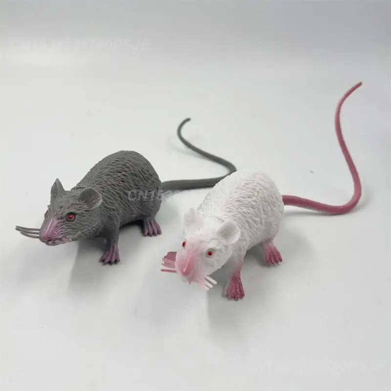 Prank Model Cat Supplies Party Accessories Fun Cat Toy Puzzle Toys Ghost Festival Durable Structure Mouse Model Pet Supplies
Prank Model Cat Supplies Party Accessories Fun Cat Toy Puzzle Toys Ghost Festival Durable Structure Mouse Model Pet Supplies