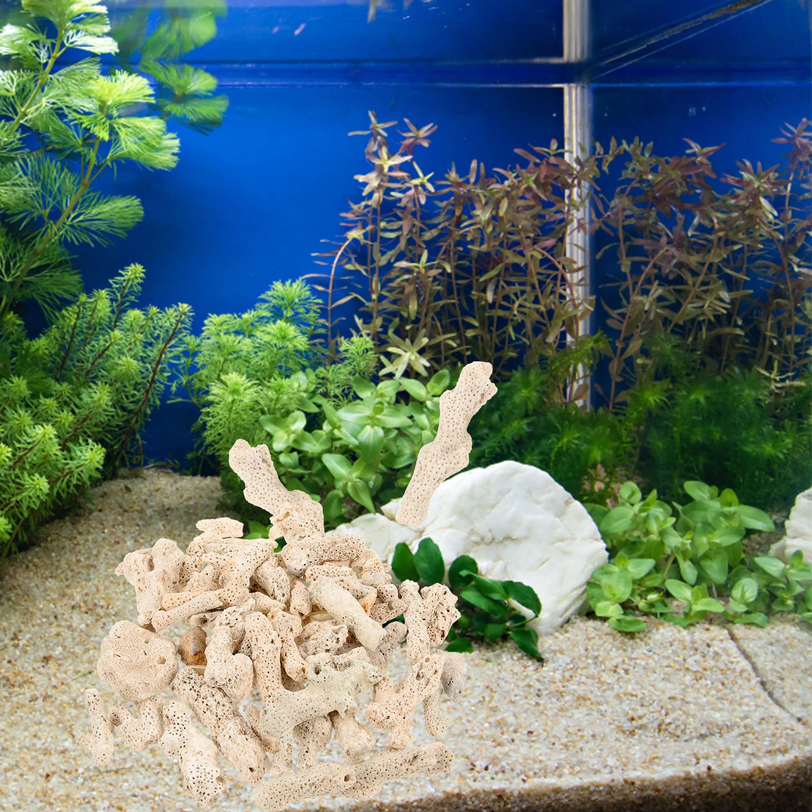 Corals Fish Tank Filter Media Pond Filtration Media Reusable Pond Aquarium Corals Filter Media Fish Tank Bottom Sand Parts
Corals Fish Tank Filter Media Pond Filtration Media Reusable Pond Aquarium Corals Filter Media Fish Tank Bottom Sand Parts