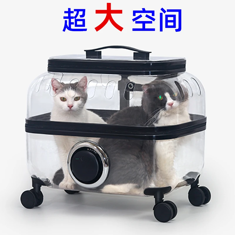 Троллейка для домашних животных, сумка для кошек, портативная тележка, вместительная дорога для кошек, рюкзак для собак, прозрачный багаж для кошек
Троллейка для домашних животных, сумка для кошек, портативная тележка, вместительная дорога для кошек, рюкзак для собак, прозрачный багаж для кошек