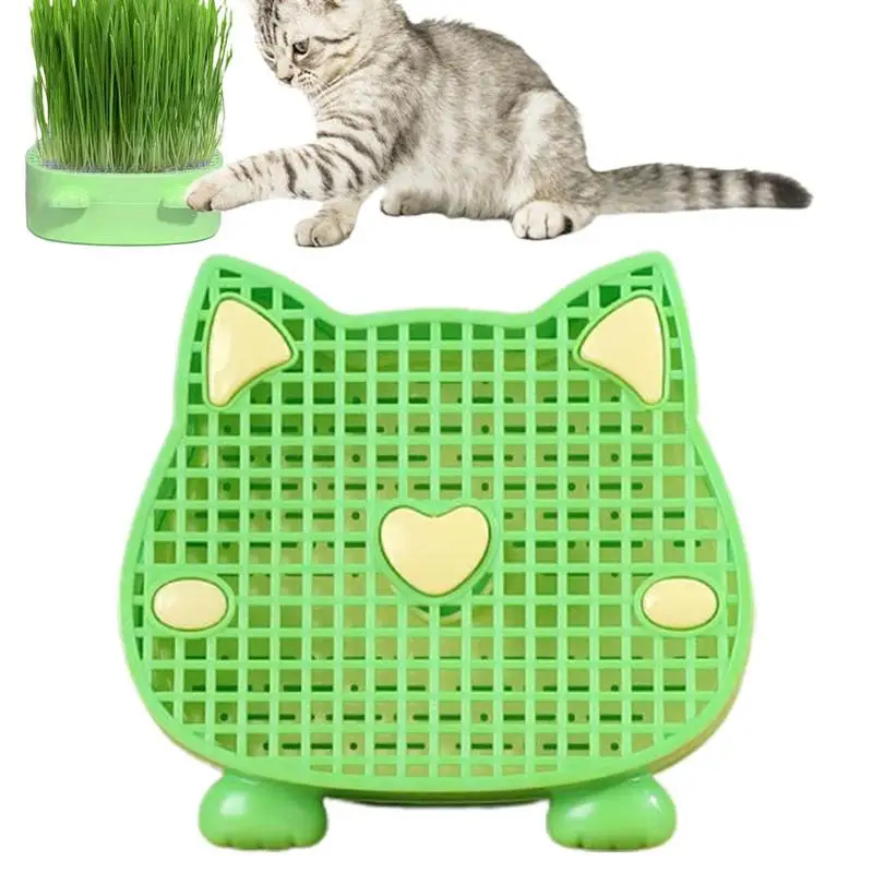 Кошачья мята, кошачья трава, многослойная котята, трава, лотки для выращивания растений, многослойная кошачья трава, плантатор для помощи пищеварению для домашних кошек, внутреннего дворика
Кошачья мята, кошачья трава, многослойная котята, трава, лотки для выращивания растений, многослойная кошачья трава, плантатор для помощи пищеварению для домашних кошек, внутреннего дворика