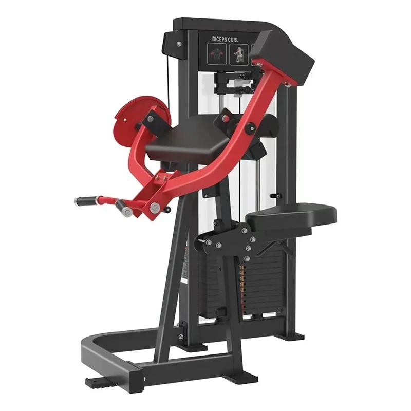 Pin Load Selection Biceps Curl Machine Commercial Body Building Strength Training Exercise Workout Fitness Gym Club Equipment
Pin Load Selection Biceps Curl Machine Commercial Body Building Strength Training Exercise Workout Fitness Gym Club Equipment