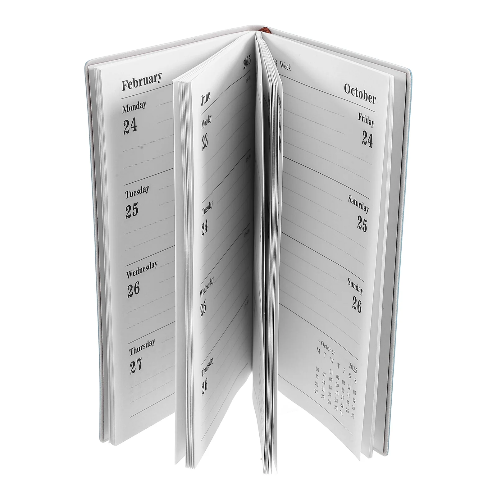 Journal Delicate Schedule Notebook Student The Notebooks 2025 Planner Weekly and Monthly Paper Organizer
Journal Delicate Schedule Notebook Student The Notebooks 2025 Planner Weekly and Monthly Paper Organizer