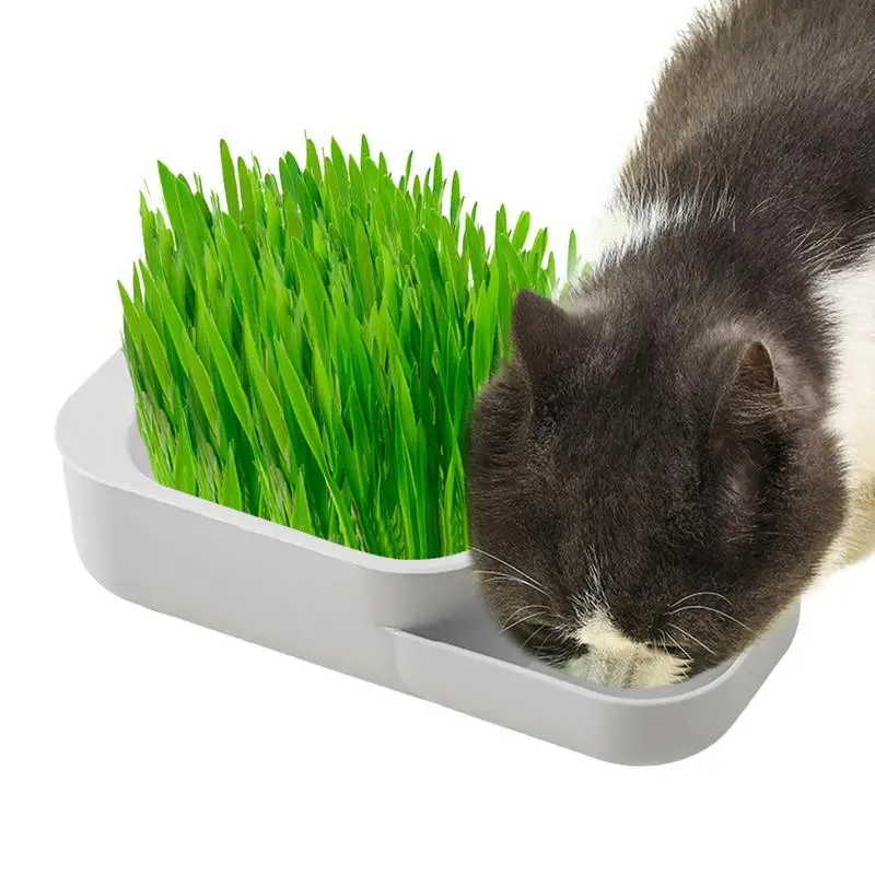 

Easy Grass Grower For Cats Hydroponic Planter Boxes For Cat Grass Sprouter Tray Cat Food Tray Leak-Proof Planting Box Container