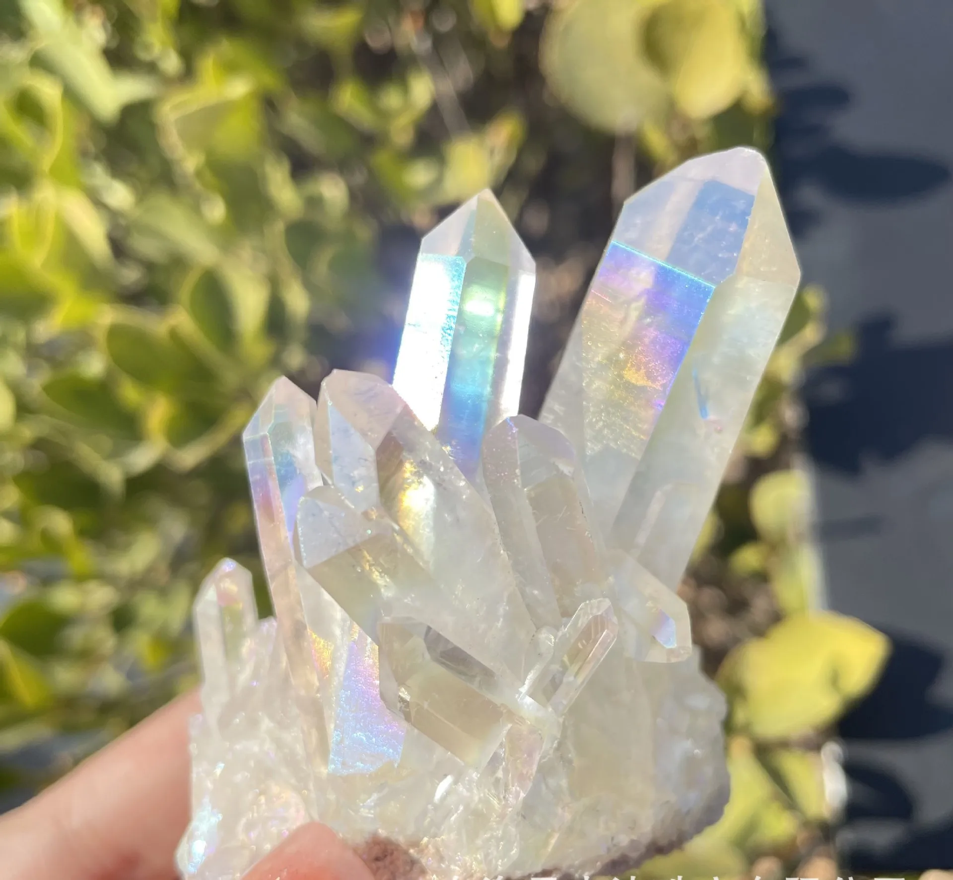 1pc Natural Clear Quartz Electroplating Angel Aura Crystal Cluster Aquarium Decoration Home Ornaments
1pc Natural Clear Quartz Electroplating Angel Aura Crystal Cluster Aquarium Decoration Home Ornaments