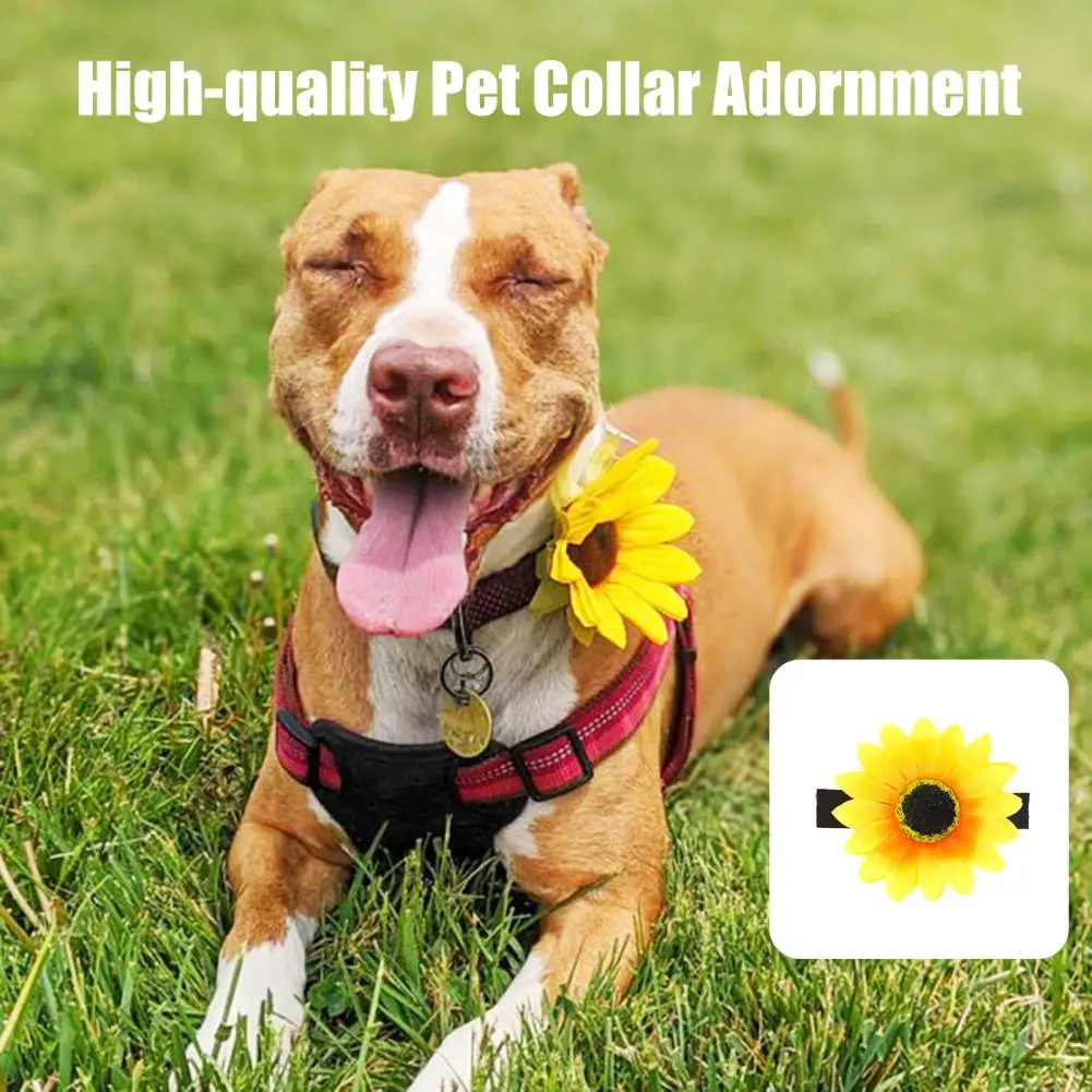 

Adjustable Sunflower Pet Charm Sunflower Pet Collar Accessory Set for Outdoor Party Wedding Small Dog Cat Collar with for Pets