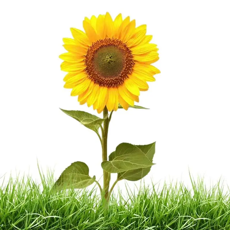 Flower Garden Stake Acrylic Decoration For Garden Sunflower Garden Patio Lawn Yard Stake Outdoor Garden Decoration For Garden
Flower Garden Stake Acrylic Decoration For Garden Sunflower Garden Patio Lawn Yard Stake Outdoor Garden Decoration For Garden