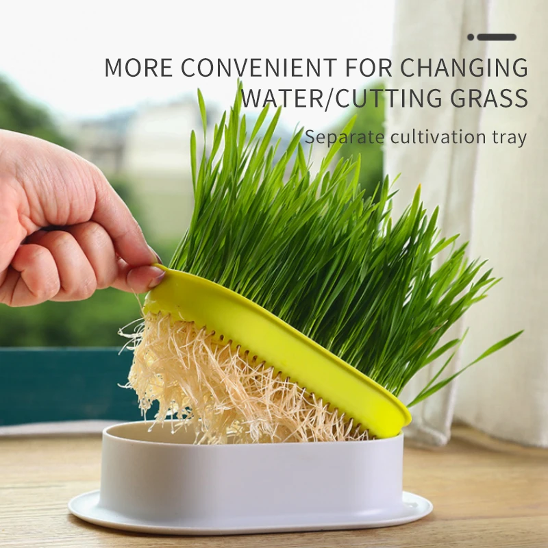 

1Pcs Pet Cat Sprout Dish Growing Pot Germination Digestion Starter Dish Greenhouse Grow Box Hydroponic Plant Cat Grass for cats