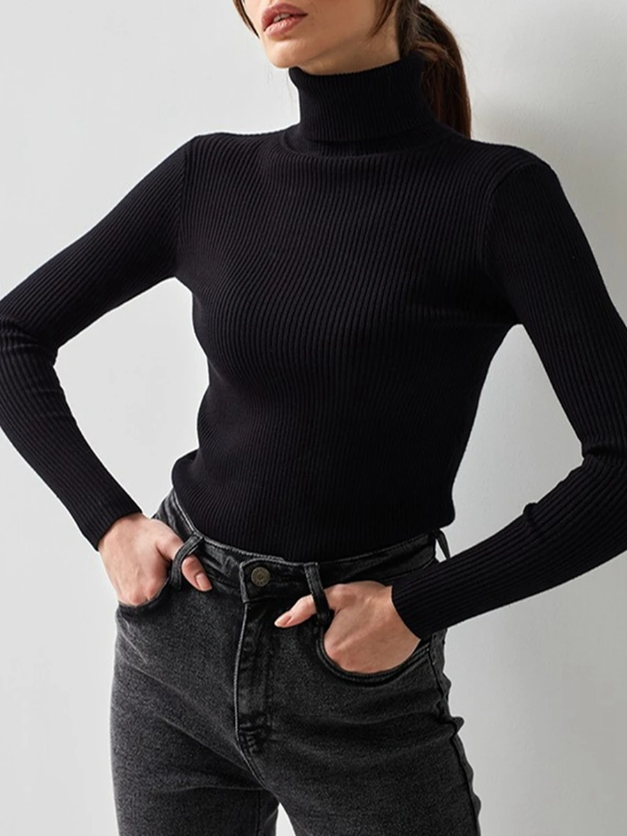 

Women High Neck Ribbed Knit Sweater Long Sleeve Slim Fitted Knitted Pullover Tops Casual Solid Color Bodycon Jumper