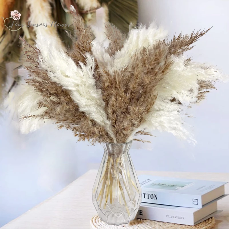 70 PCS Fluffy Small Pampas Grass Boho Home Decor Natural Reed Bunny Tails Bouquet For Wedding Table Decoration Photography Props 
70 PCS Fluffy Small Pampas Grass Boho Home Decor Natural Reed Bunny Tails Bouquet For Wedding Table Decoration Photography Props