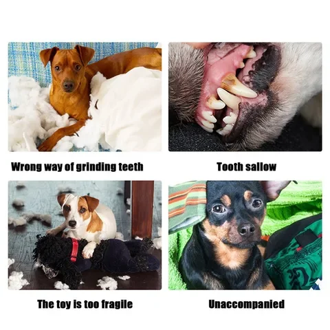 Toy Soft Small Breeds Medium Dogs Squeaky Toys Chewers for Pet Cat Products Puppy Accessories Pet Supplies
Toy Soft Small Breeds Medium Dogs Squeaky Toys Chewers for Pet Cat Products Puppy Accessories Pet Supplies