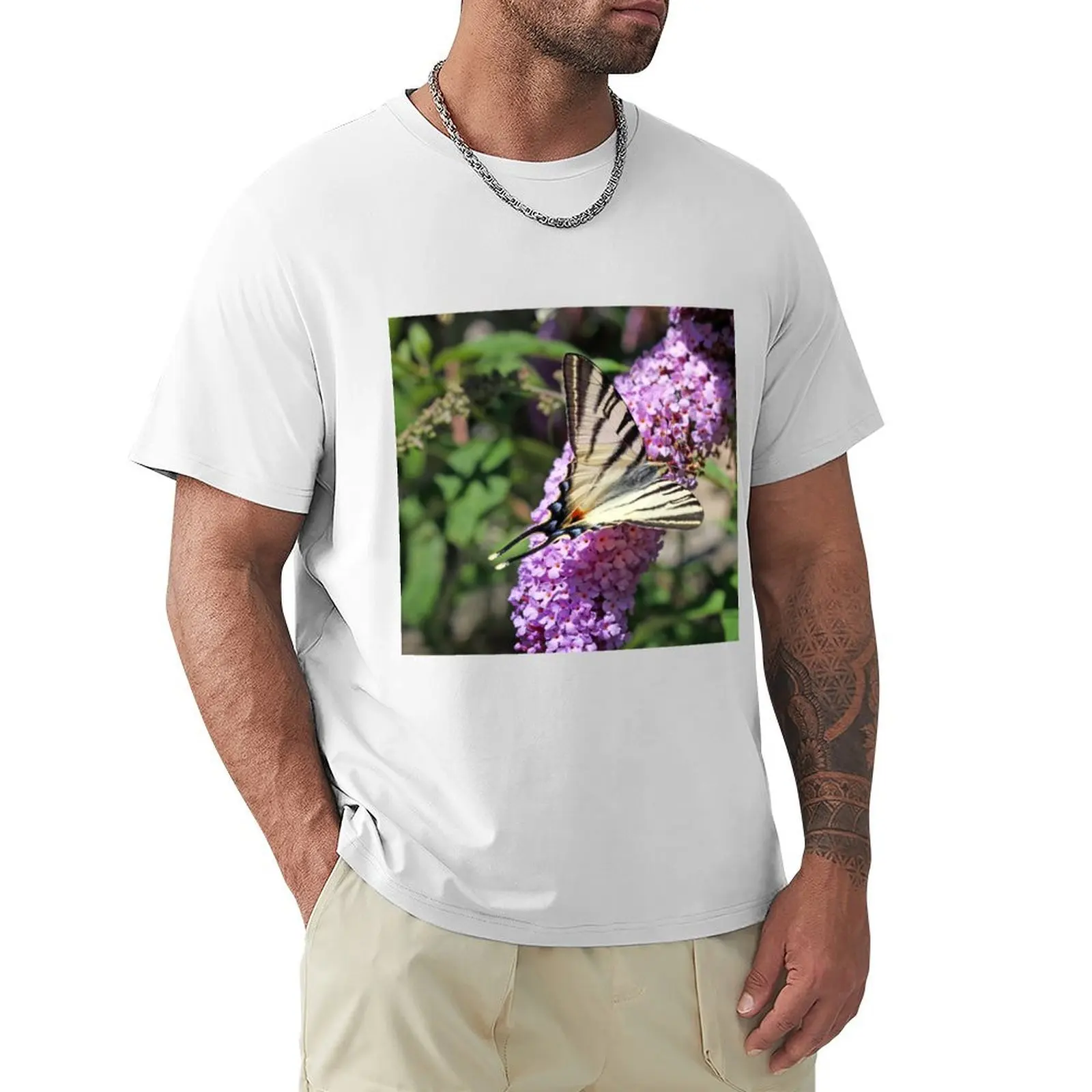 butterfly on flower summer season T-shirt anime clothes sports fans hippie clothes animal prinfor boys t shirts for men pack
butterfly on flower summer season T-shirt anime clothes sports fans hippie clothes animal prinfor boys t shirts for men pack