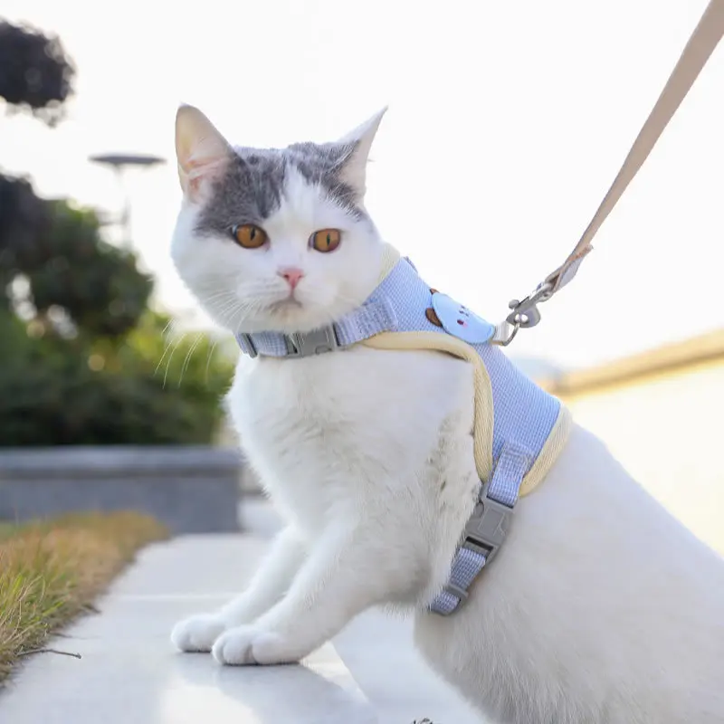 Pets and Cats Can Use A Leash When Going Out Cat Interest Prevention Rope Vest Style Chest Strap Cat Chain
Pets and Cats Can Use A Leash When Going Out Cat Interest Prevention Rope Vest Style Chest Strap Cat Chain