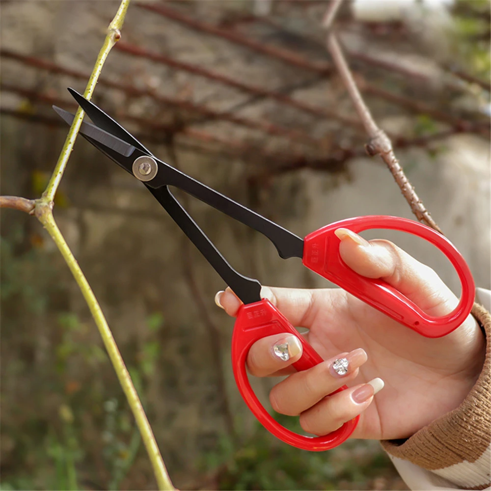 Grape Pruning Scissors Stainless Steel Long Pointed Garden Scissors Gardening Tool and Equipment Bonsai Tool Garden Scissors
Grape Pruning Scissors Stainless Steel Long Pointed Garden Scissors Gardening Tool and Equipment Bonsai Tool Garden Scissors