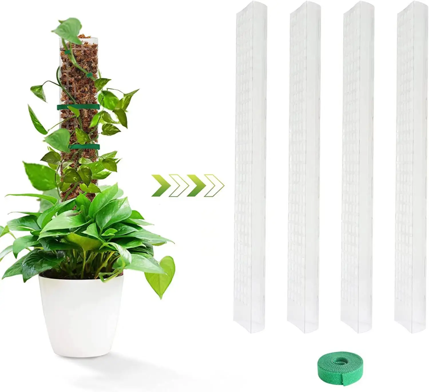 4Pcs 24 Inch Moss Pole for Plants Plant Support Poles Indoor Potted Plant Sticks Support Train Creeper Plants to Grow Upward
4Pcs 24 Inch Moss Pole for Plants Plant Support Poles Indoor Potted Plant Sticks Support Train Creeper Plants to Grow Upward