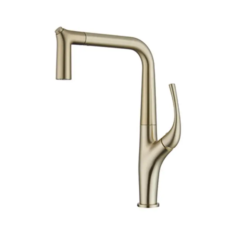 Pulling type stretching sink basin accessories rotating faucet chrome kitchen faucet
Pulling type stretching sink basin accessories rotating faucet chrome kitchen faucet