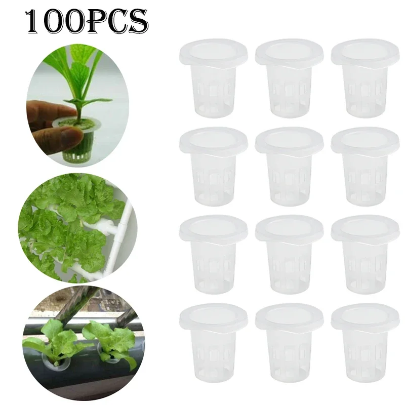 100Pcs Hydroponic Planting Basket Soilless Cultivation Net Pots Plant Vegetable Growing Nursery Cup Sponge Fixator Container
100Pcs Hydroponic Planting Basket Soilless Cultivation Net Pots Plant Vegetable Growing Nursery Cup Sponge Fixator Container