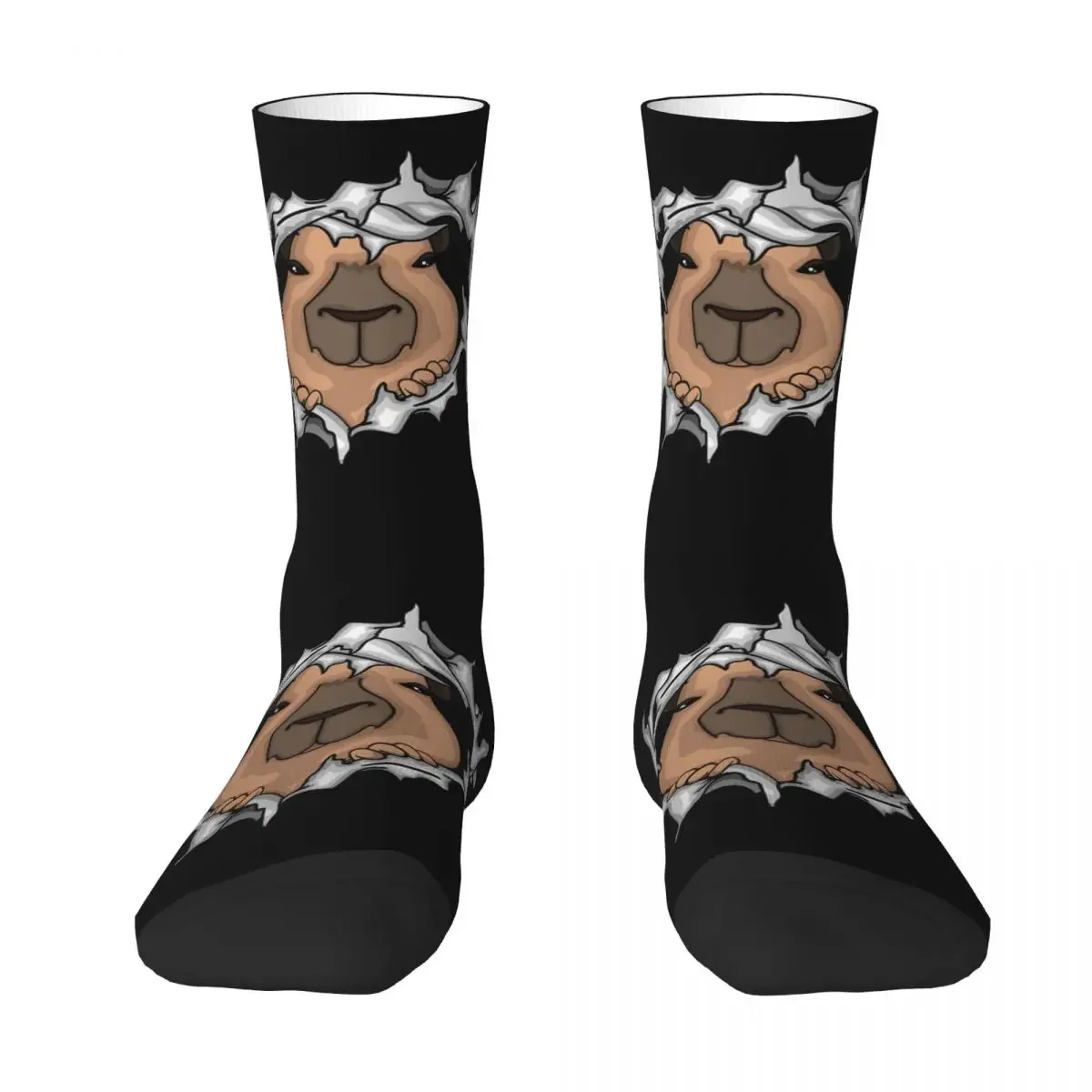 

Носки с животными капибара из «My Spirit», высококачественные чулки в стиле Харадзюку, всесезонные длинные носки, аксессуары для подарка унисекс