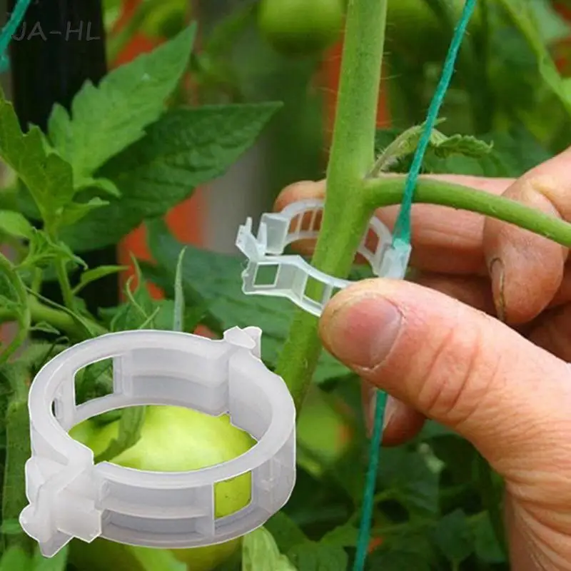 

Hot 50pcs Plastic Trellis Tomato Clips Supports Connects Plants Vines Trellis Twine Cages Gardening Vegetable Tomato Supplies