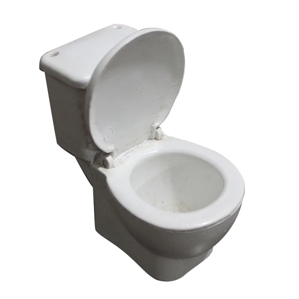 Trinkets Micro Landscape Toilet Dad House Gadgets Dollhouse Supplies Resin Commode Decor
Trinkets Micro Landscape Toilet Dad House Gadgets Dollhouse Supplies Resin Commode Decor