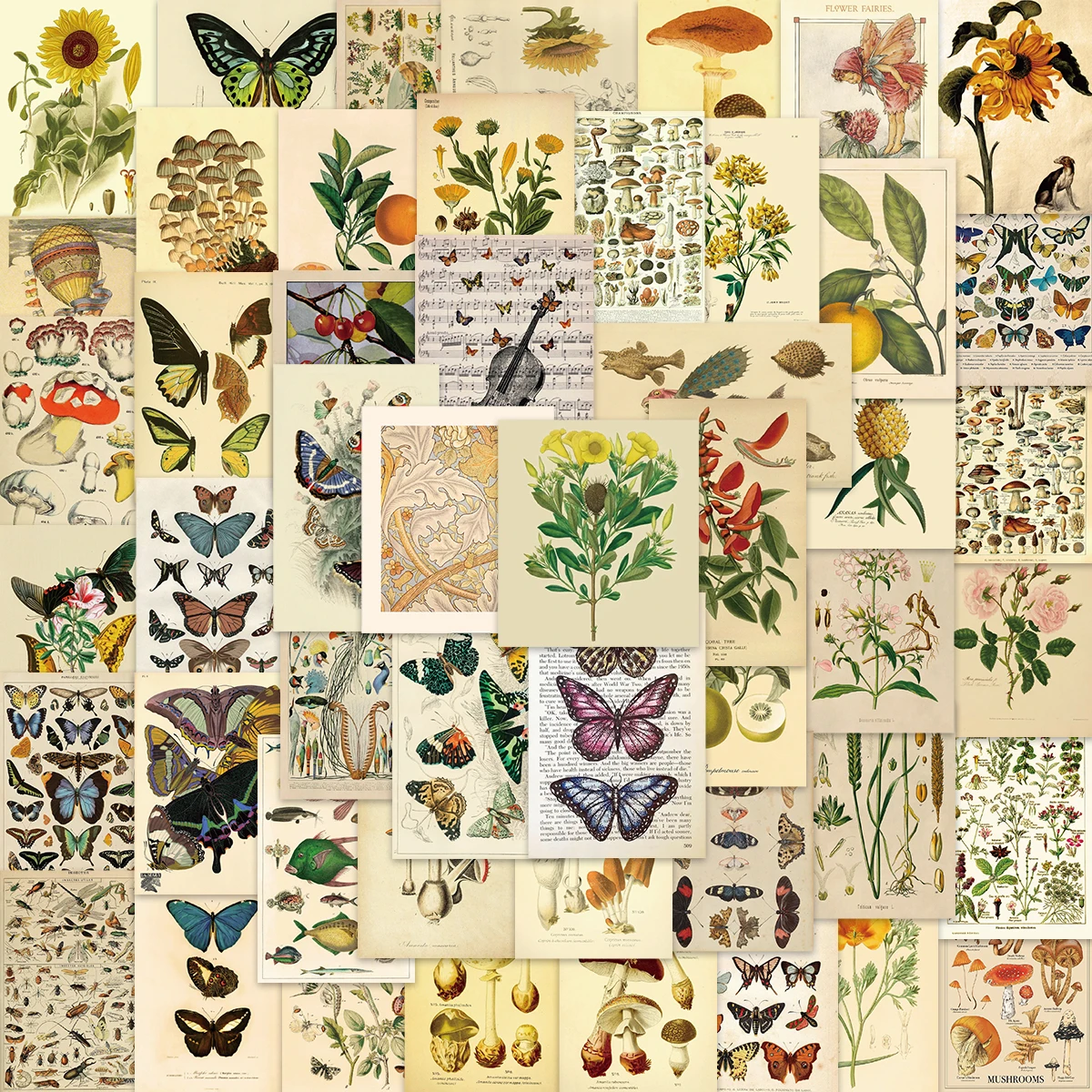 10/50PCS Retro Plants Animals Decor Stickers Vintage For DIY Notebook Luggage Motorcycle Laptop Refrigerator Decals Graffiti
10/50PCS Retro Plants Animals Decor Stickers Vintage For DIY Notebook Luggage Motorcycle Laptop Refrigerator Decals Graffiti