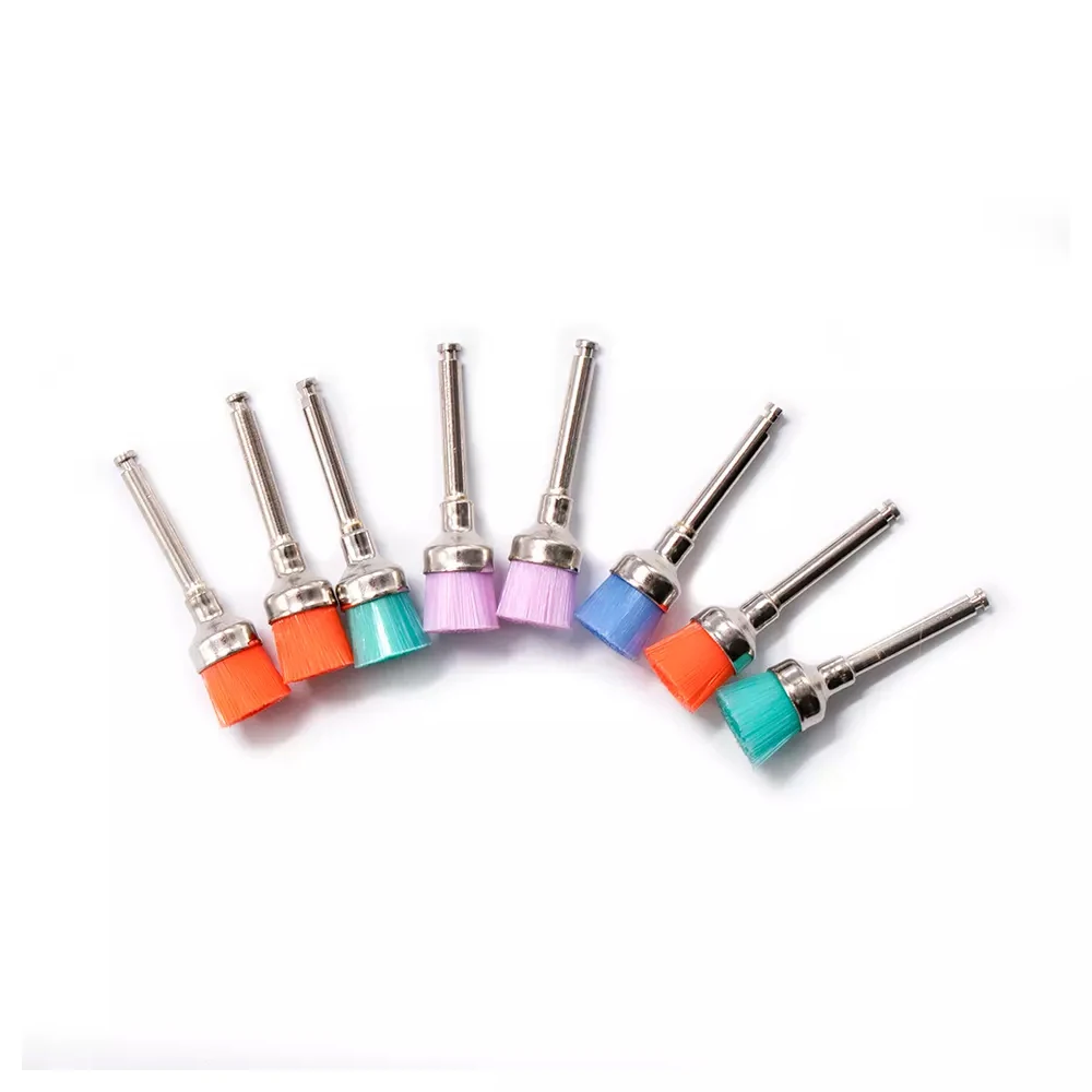 Disposable Oral Plastic Consumables Polishing Nylon Bristle Polisher Bowl Shape Dental Prophy Brushes Stain Removal Tool 1 Mallzona S4159f9a69a70488b9d2f05b32f6a3daeA Disposable Oral Plastic Consumables Polishing Nylon Bristle Polisher Bowl Shape Dental Prophy Brushes Stain Removal Tool Mallzona