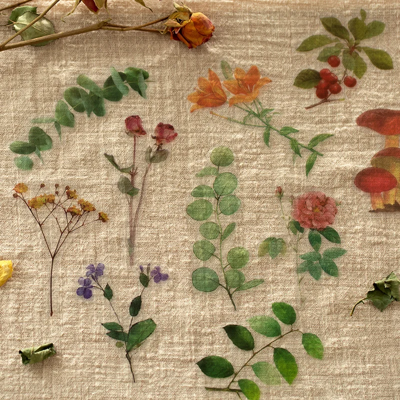 40 pcs Kawaii INS Plant Flowers Stickers Decorative Diy Creativity Scrapbooking Collage material Stick Labels hand made Supplies
40 pcs Kawaii INS Plant Flowers Stickers Decorative Diy Creativity Scrapbooking Collage material Stick Labels hand made Supplies