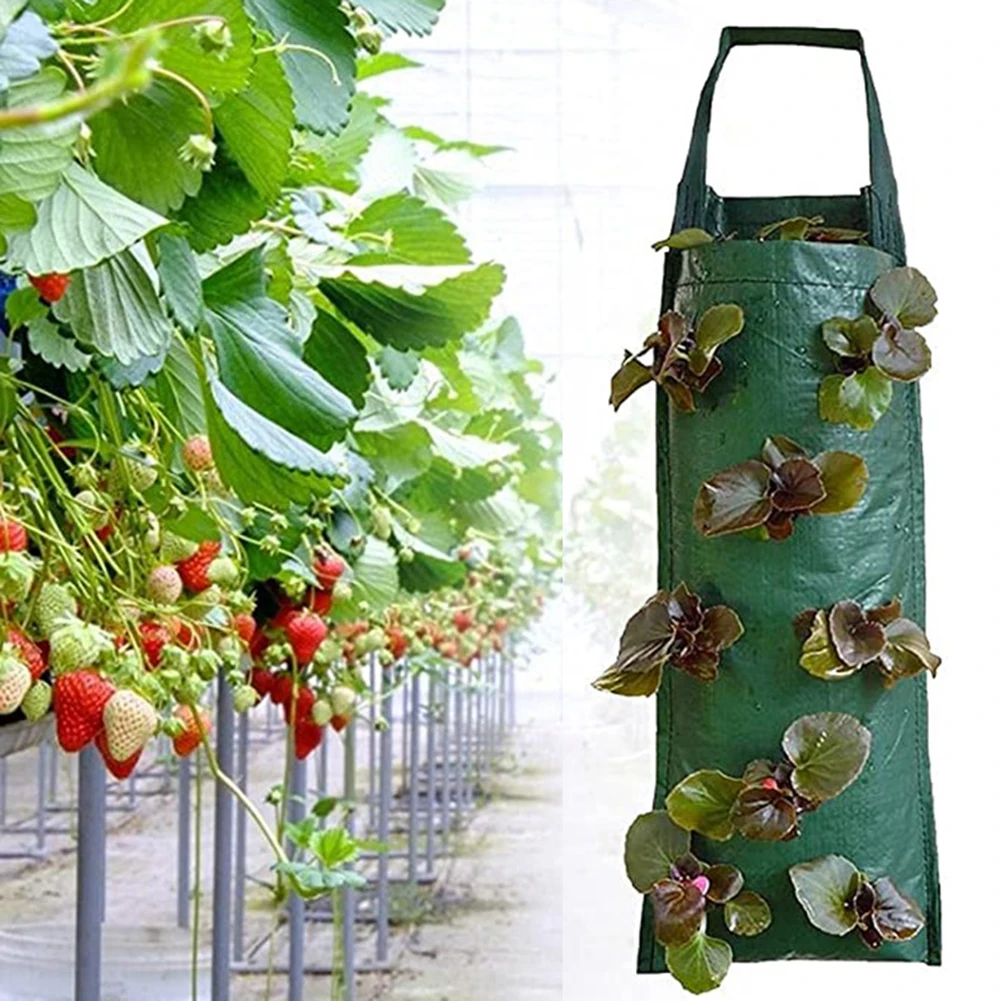 Multi-port Grow Bags for Plant Strawberry Potato Hanging Planting Pots Fruit Vegetable Pouch Outdoor Garden Supplies Flower Pot
Multi-port Grow Bags for Plant Strawberry Potato Hanging Planting Pots Fruit Vegetable Pouch Outdoor Garden Supplies Flower Pot