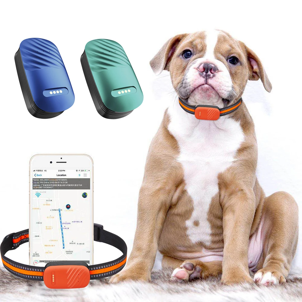 Factory OEM latest waterproof 4G pet GPS tracker with free collar and mobile APP for dog cat animal real time tracking
Factory OEM latest waterproof 4G pet GPS tracker with free collar and mobile APP for dog cat animal real time tracking
