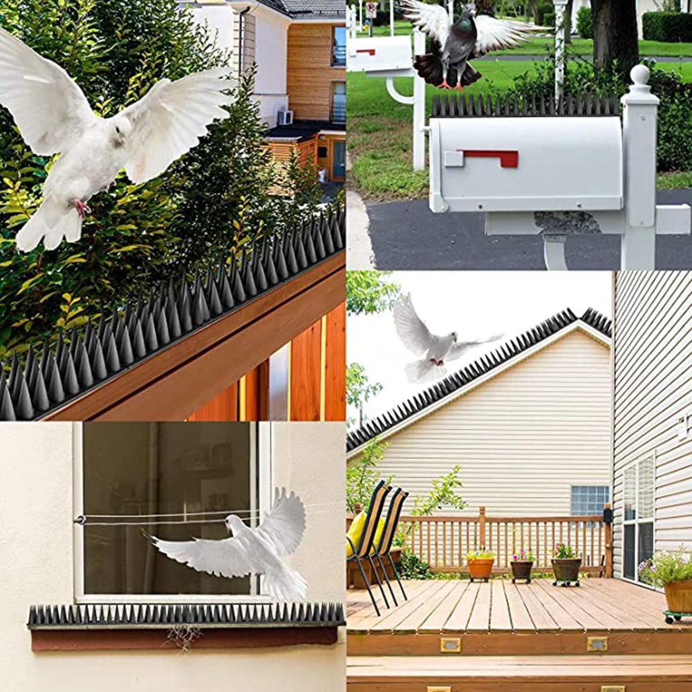 Fence Wall Spikes Bird Nail Garden Vegetable Field Security Barbed Intruder Repellent Burglar Anti Cat Climb For Balcony Railing
Fence Wall Spikes Bird Nail Garden Vegetable Field Security Barbed Intruder Repellent Burglar Anti Cat Climb For Balcony Railing