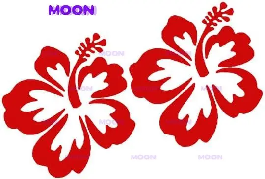 Красный цветок гибискуса, две упаковки, автомобильная наклейка, подходящая для фото, автомобильная наклейка на бампер, аксессуары
Красный цветок гибискуса, две упаковки, автомобильная наклейка, подходящая для фото, автомобильная наклейка на бампер, аксессуары