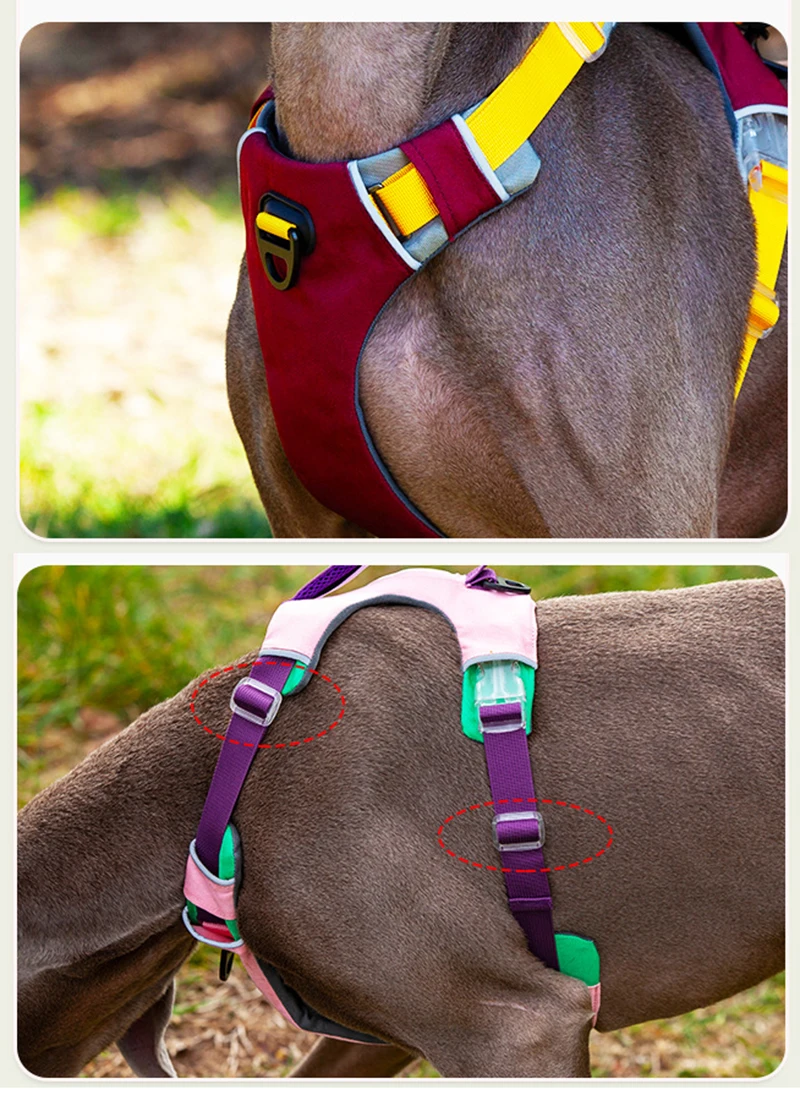 S4216ba36ab34452a80aa10185185a38dp