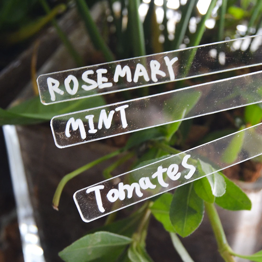 High Quality Brand New Signage Label Yard 1set Acrylic Plant Markers Tag T-Type Transparent Décor Flower Potted
High Quality Brand New Signage Label Yard 1set Acrylic Plant Markers Tag T-Type Transparent Décor Flower Potted