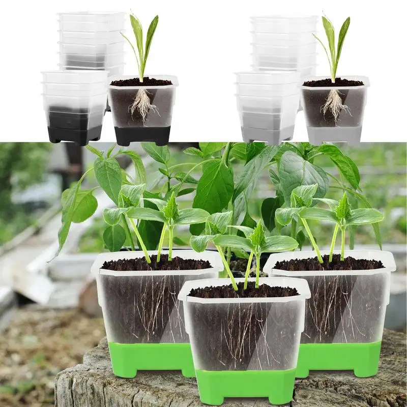 10pcs Nursery Plant Pots with Silicone Base for Easy Transplant Transparent Plastic Reusable Nursery Seedling Pots For Plants
10pcs Nursery Plant Pots with Silicone Base for Easy Transplant Transparent Plastic Reusable Nursery Seedling Pots For Plants