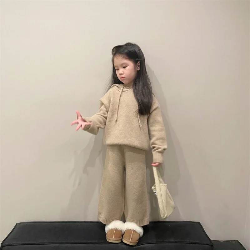 

Children Sets Korea 2023 Clothing Children Sweater Winter Boys Girls Thickening Hooded Knitting Two Piece Set Warm