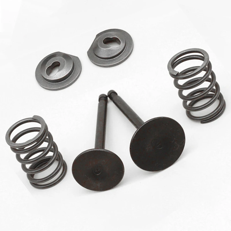 Valve Spring Kit For Honda GX160 GX200 168F 170F 5.5 6.5HP Gasoline Engine Power Equipment Accessories Lawnmower Parts
Valve Spring Kit For Honda GX160 GX200 168F 170F 5.5 6.5HP Gasoline Engine Power Equipment Accessories Lawnmower Parts