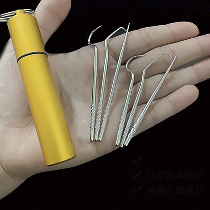 6PCS/Set Stainless Steel Toothpicks Outdoor Multifunctional Toothpick Kits Fruit Fork Camping Toothpick Tube Tooth Cleaning Tool
6PCS/Set Stainless Steel Toothpicks Outdoor Multifunctional Toothpick Kits Fruit Fork Camping Toothpick Tube Tooth Cleaning Tool