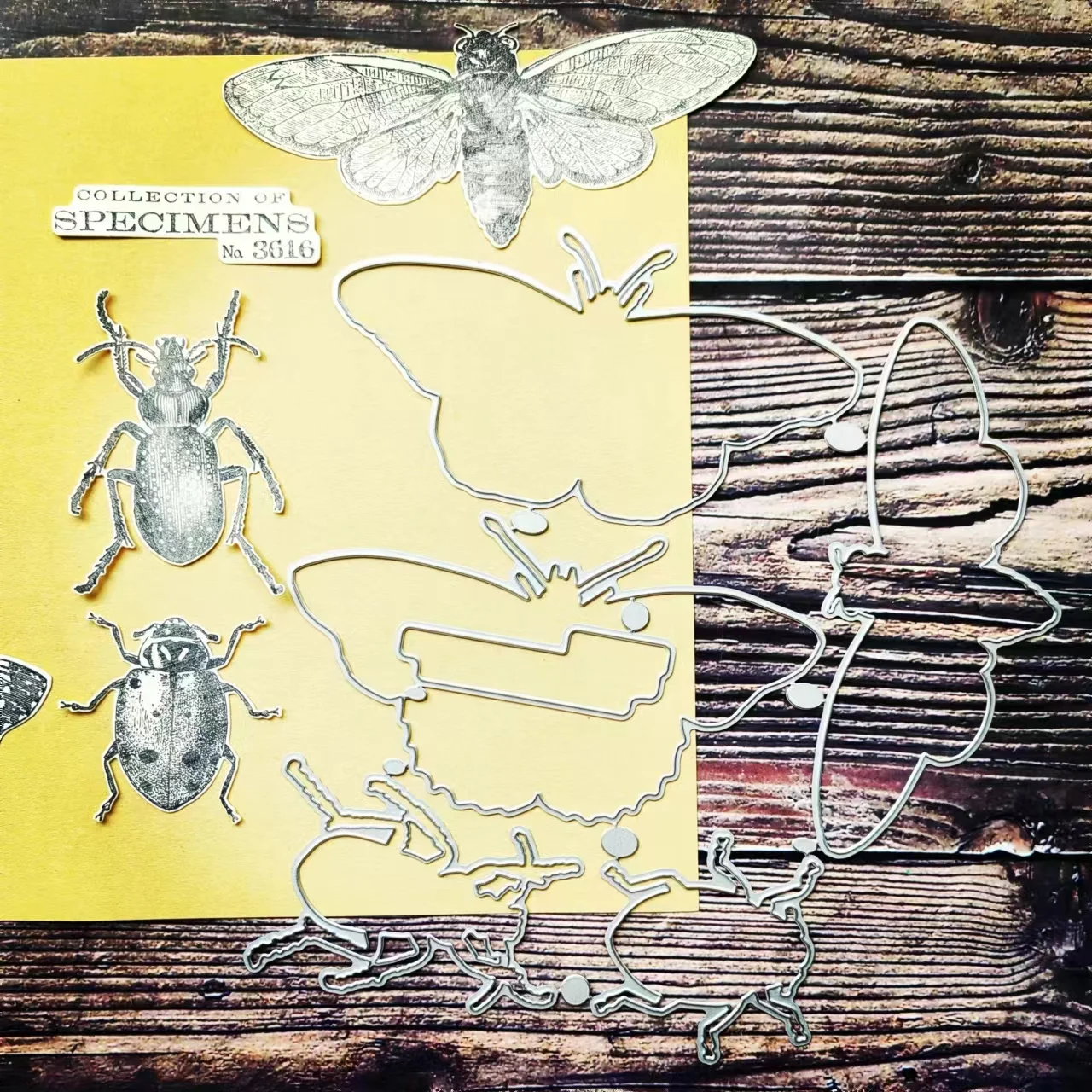Gogocraft MQ010 Vintage Frame Thinlits Cutting Dies for Specimen JunkJournal Scrapbooking PaperDIY Original Designs
Gogocraft MQ010 Vintage Frame Thinlits Cutting Dies for Specimen JunkJournal Scrapbooking PaperDIY Original Designs