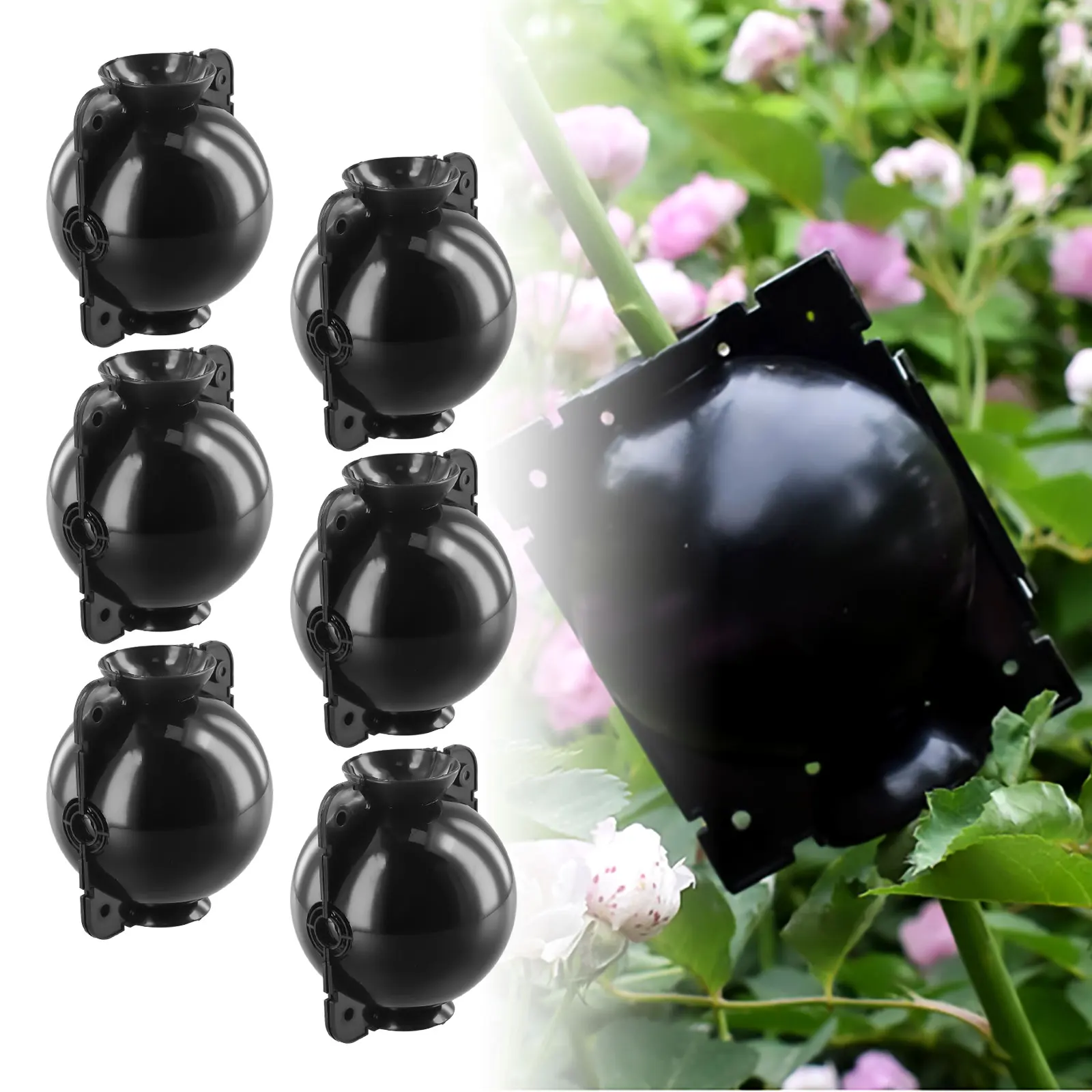 6PCS Botany Plant Rooting Root Device Pressure Propagation Ball Box Grafting Garden Rooting Propagation Ball S Breeding Equipmen
6PCS Botany Plant Rooting Root Device Pressure Propagation Ball Box Grafting Garden Rooting Propagation Ball S Breeding Equipmen