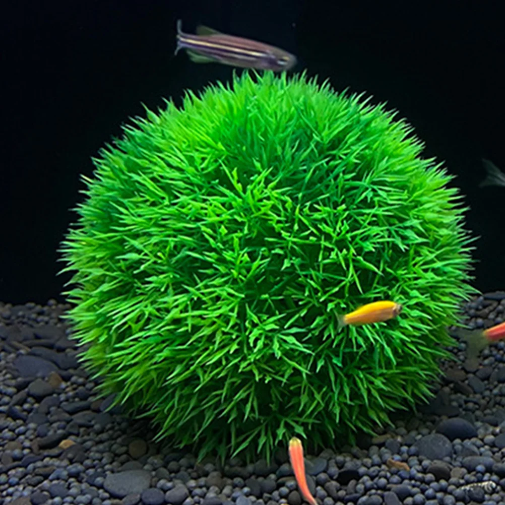 

8 Pcs Aquarium Grass Ball Fake Plant Aquatic Plants Crafts Artificial Fish Tank Plastic Pp Ornament Ornaments