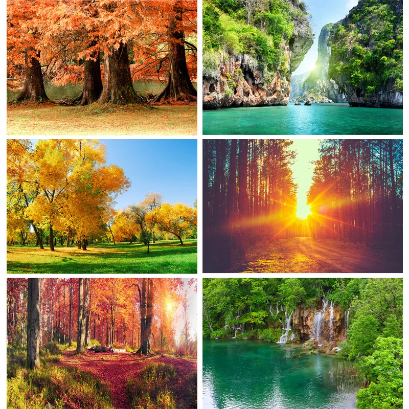 

Natural Scenery Photography Background Forest River Landscape TravelPhoto Backdrops Studio Props 21929 BNM-02